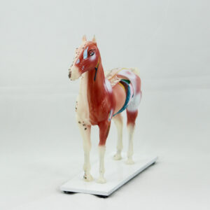 Modelo de Acupuntura em Formato de Cavalo Kan Li