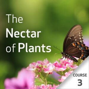 O Néctar das Plantas: Série os Óleos Essenciais e a Medicina Chinesa – Curso 3