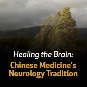 Curando o Cerebro: a Tradição Neurológia da Medicina Chinesa
