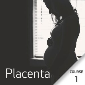 Placenta – Curso 1