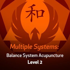 Sistemas Múltiplos: Sistema de Acupuntura do Balanceamento – Nível 2