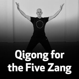 Qigong e os 5 Órgãos