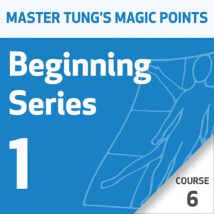 Pontos Mágicos da Acupuntura do Mestre Tung: Série 1 para Iniciantes – Curso 6
