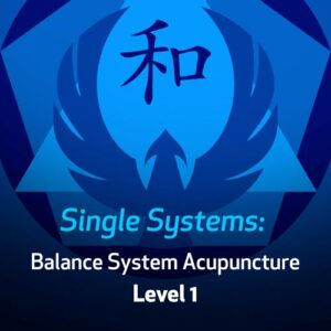 Sistemas Simples: Acupuntura do Balanceamento – Nível 1