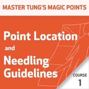 Pontos Mágicos da Acupuntura do Mestre Tung: Série Localização de Pontos e Técnicas de Agulhamento – Curso 1