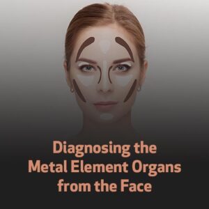 Diagnóstico Facial do Movimento Metal