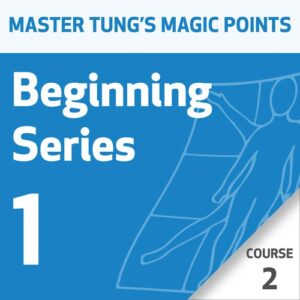 Pontos Mágicos da Acupuntura do Mestre Tung: Série 1 para Iniciantes – Curso 2