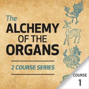 A Alquimia dos Órgãos – Curso 1