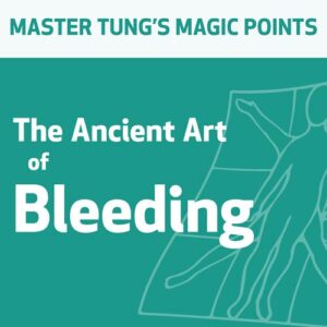 A Antiga Arte da Sangria