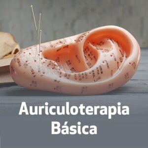 Auriculoterapia Básica